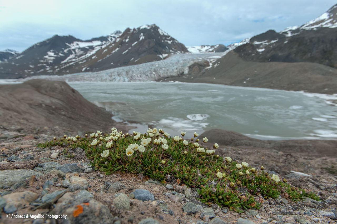 aka-Spitsbergen-2013-07-04__D3X5149_50_51.jpg