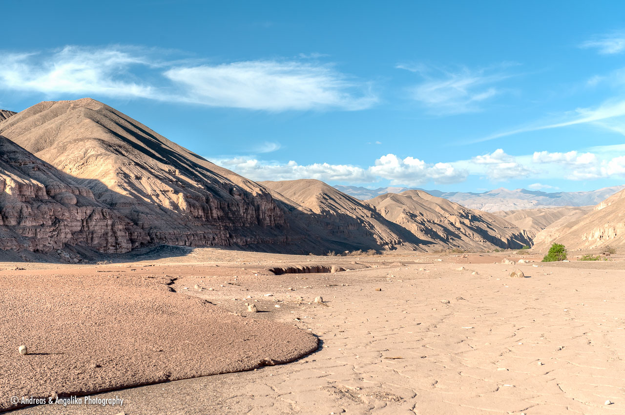 aka-Atacama-2016-03-28__D3X4954_5_6.jpg