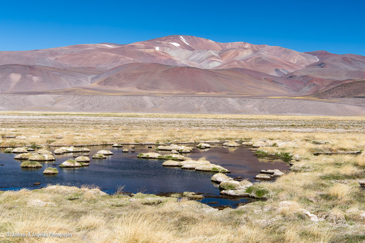aka-Atacama-2016-12-28__D5X6272.jpg