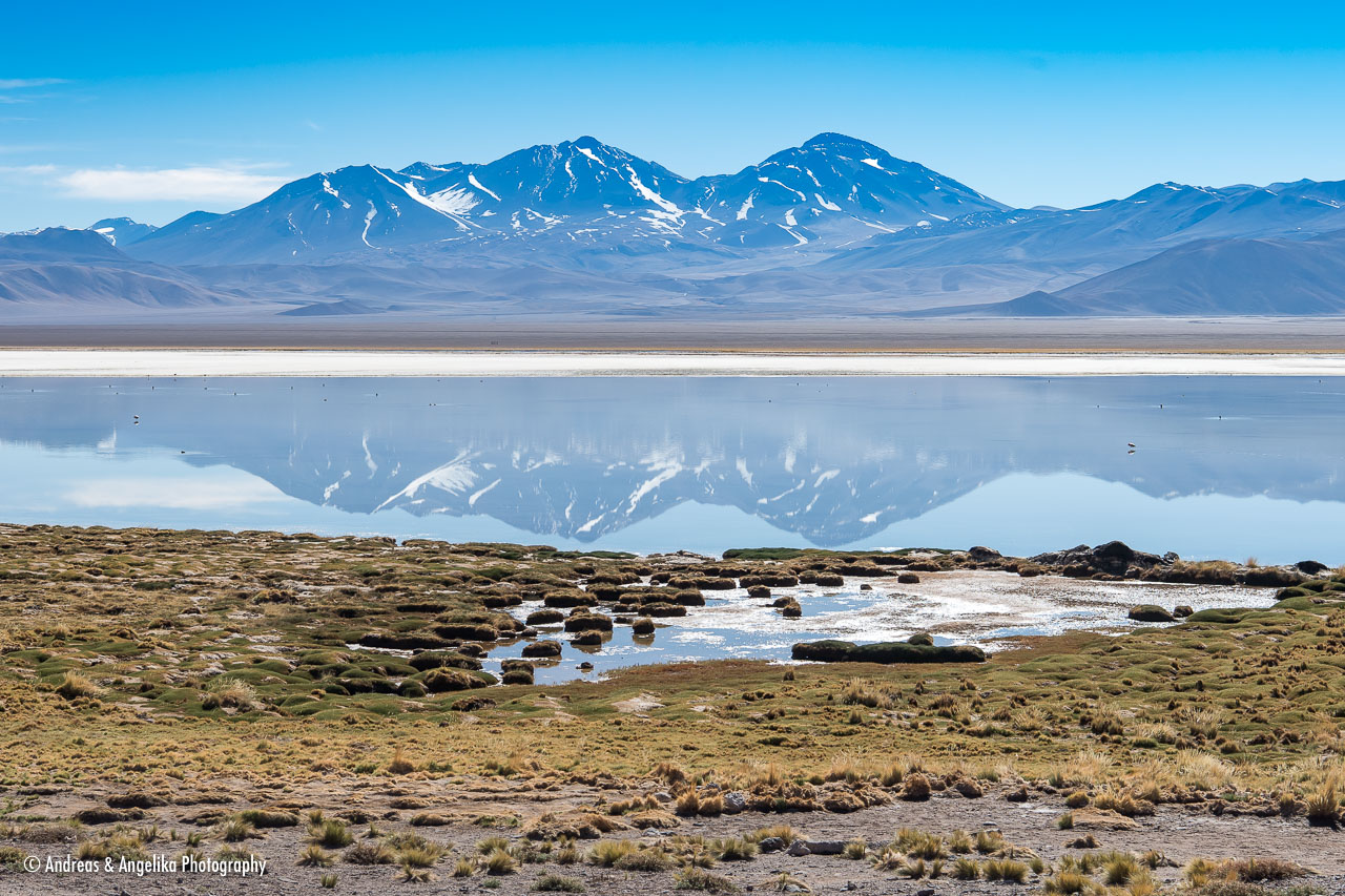 aka-Atacama-2016-12-29__D5X6501.jpg