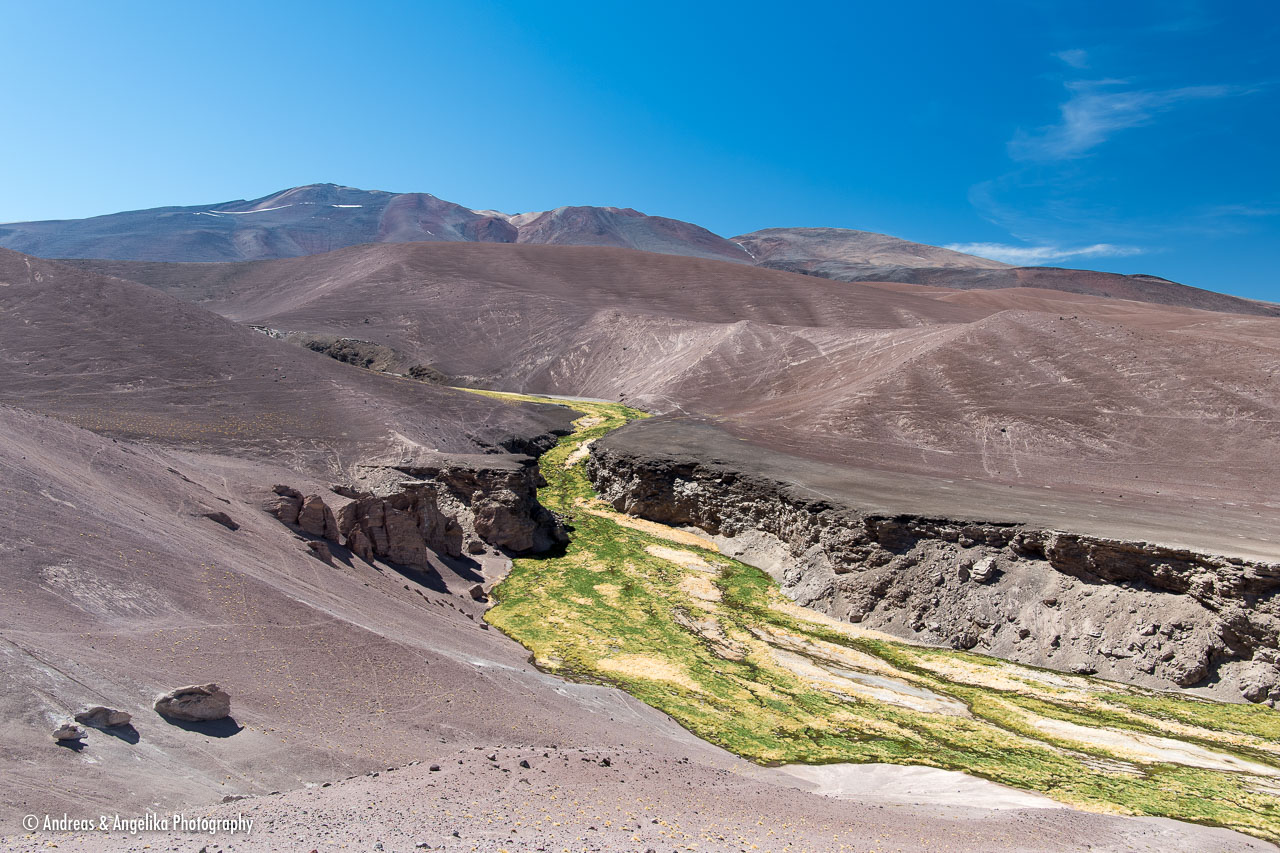 aka-Atacama-2016-12-29__D5X6510.jpg
