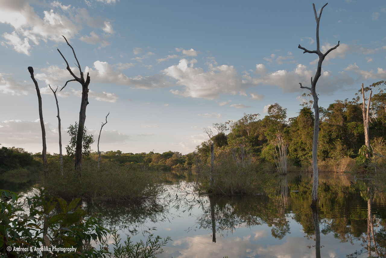 an-Pantanal-2011-08-06_DSC_1331.jpg