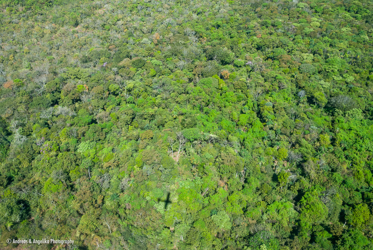 an-Pantanal-2011-08-12_DSC_2371.jpg