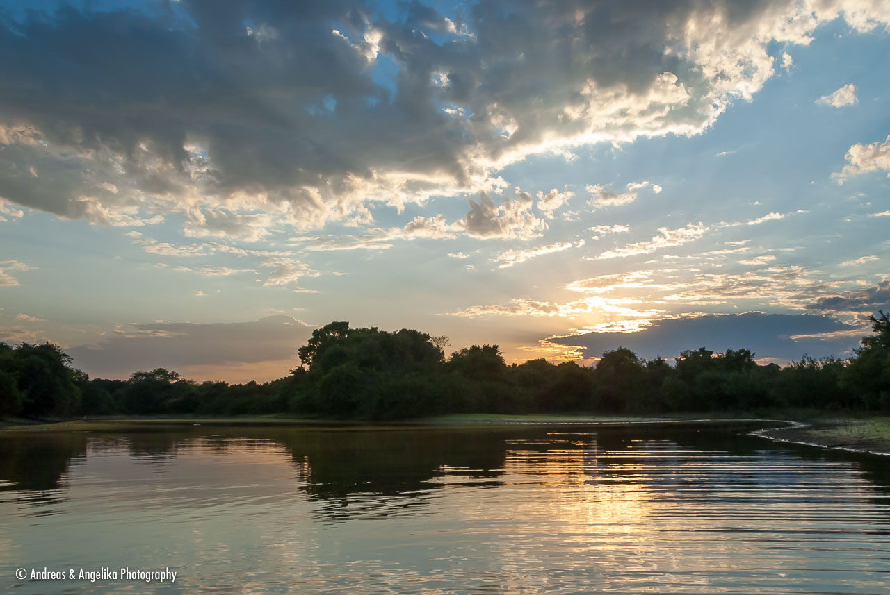 an-Pantanal-2011-08-14_DSC_2947.jpg