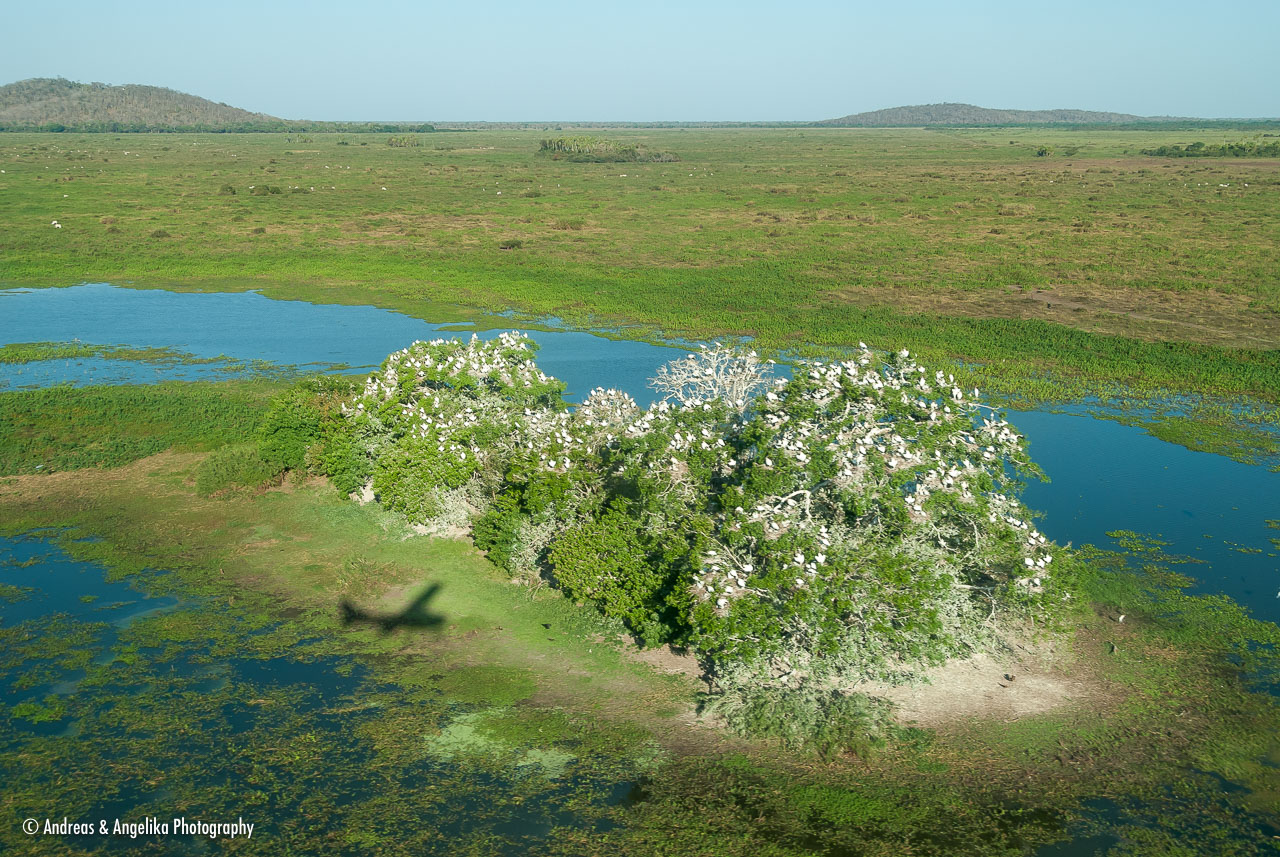 an-Pantanal-2011-08-15_DSC_3443.jpg