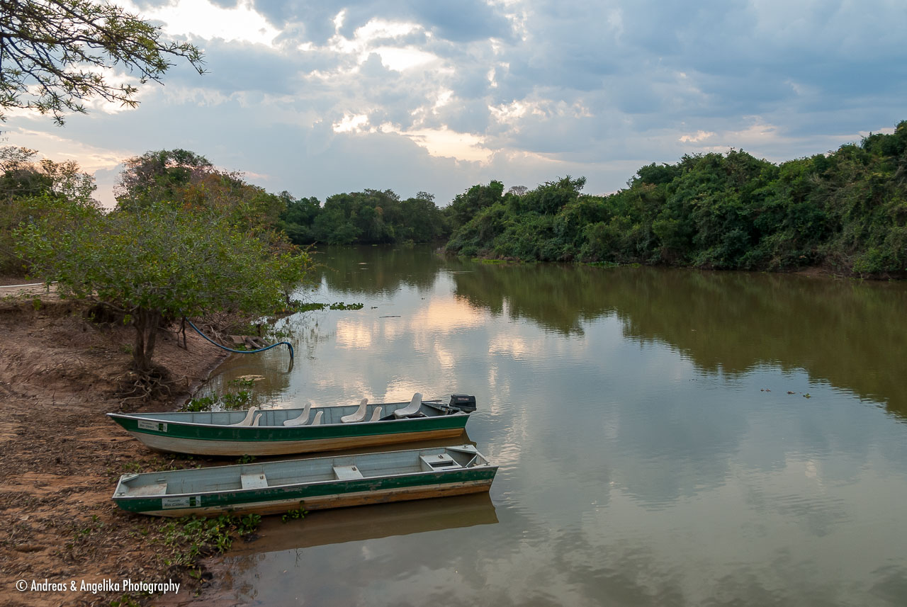 an-Pantanal-2011-08-17_DSC_3929.jpg