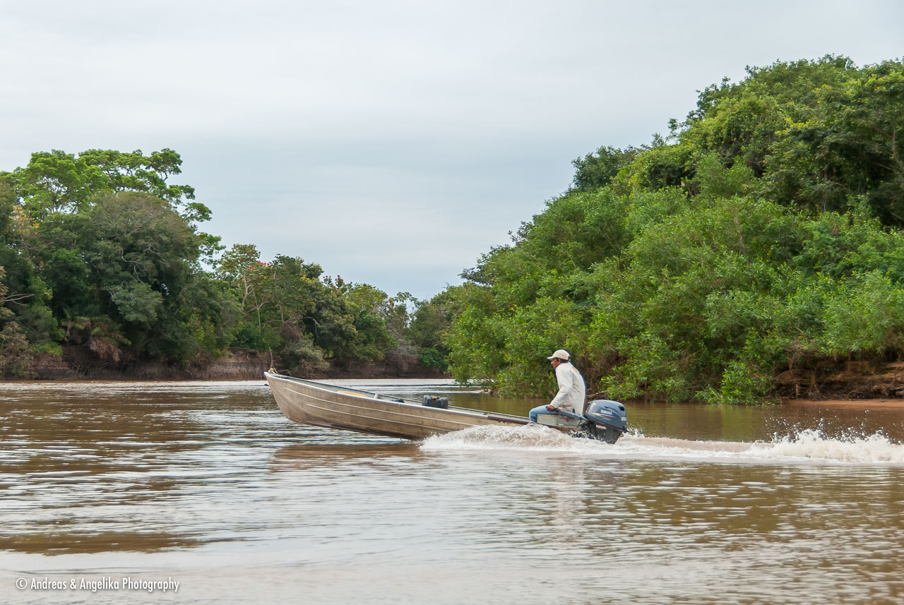 an-Pantanal-2011-08-20_DSC_4842.jpg