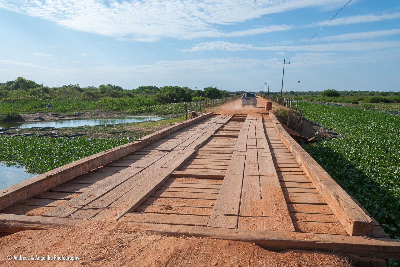 an-Pantanal-2011-08-23_DSC_6039.jpg
