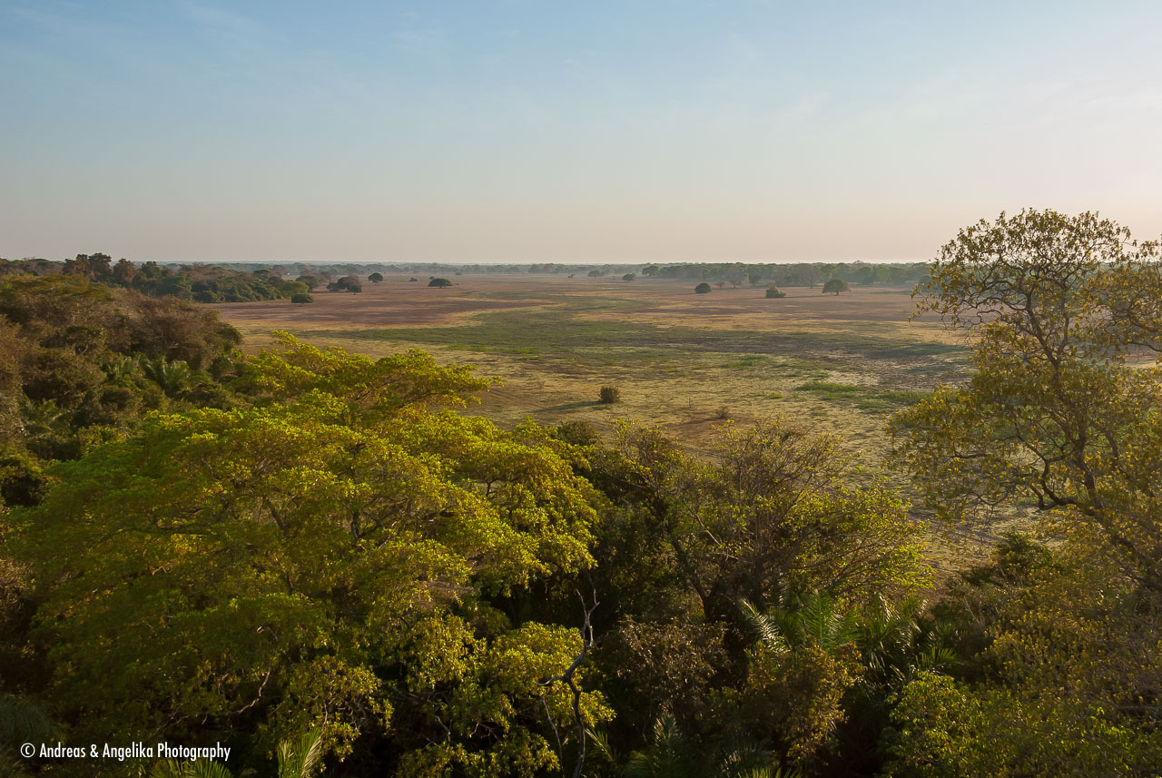 an-Pantanal-2011-08-25_DSC_6505.jpg