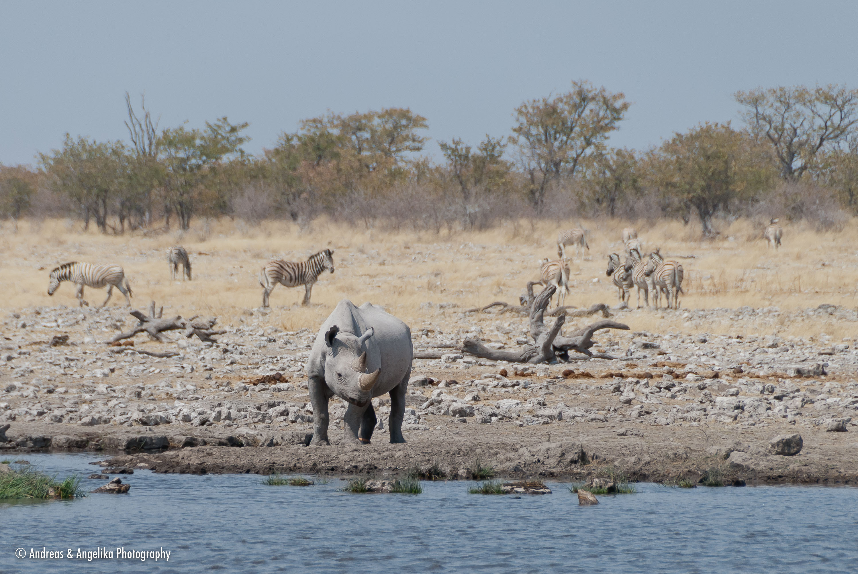 an-Namibia-Botswana-Zimbabwe-2012-08-13_DSC_3737.jpg