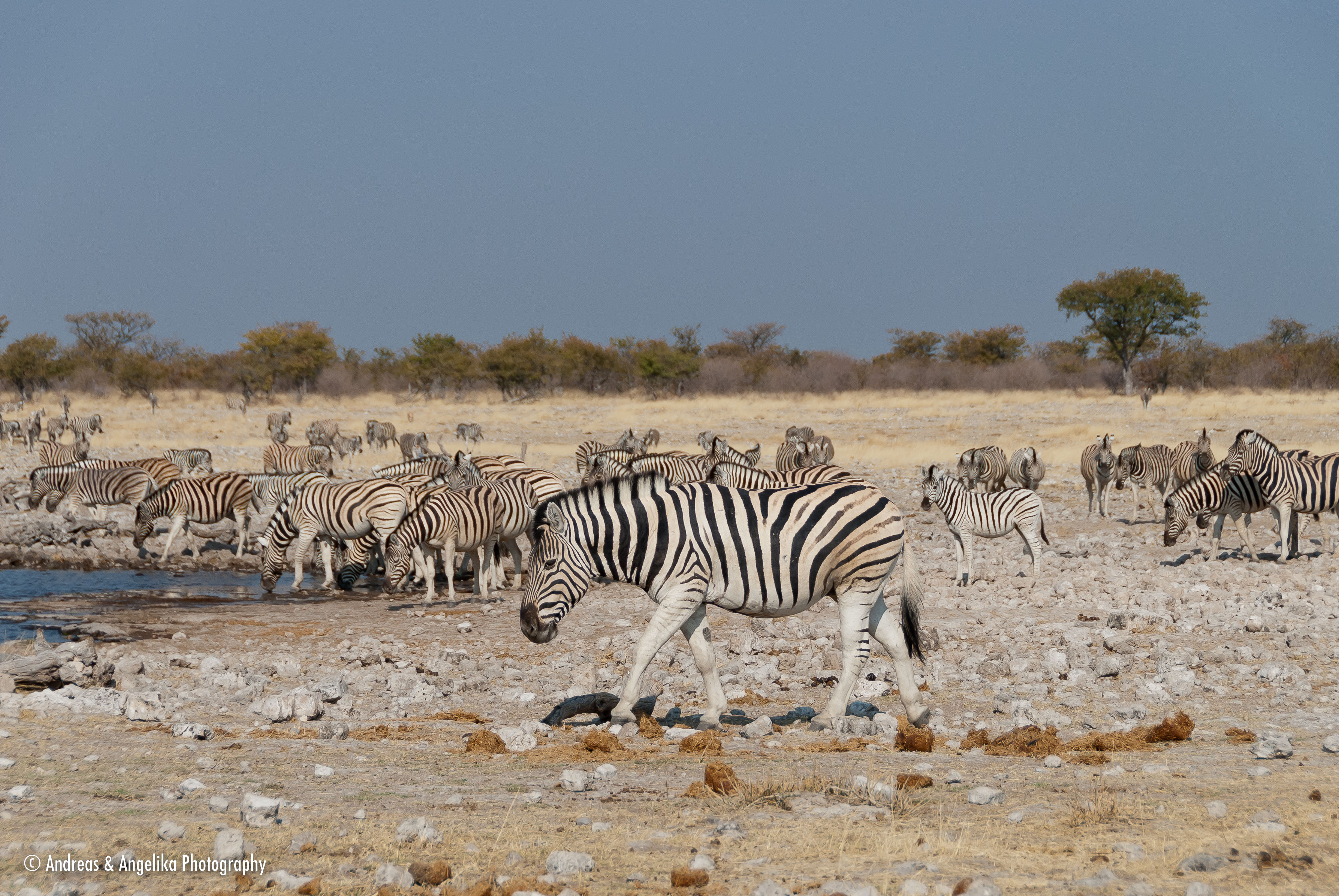 an-Namibia-Botswana-Zimbabwe-2012-08-13_DSC_3786.jpg