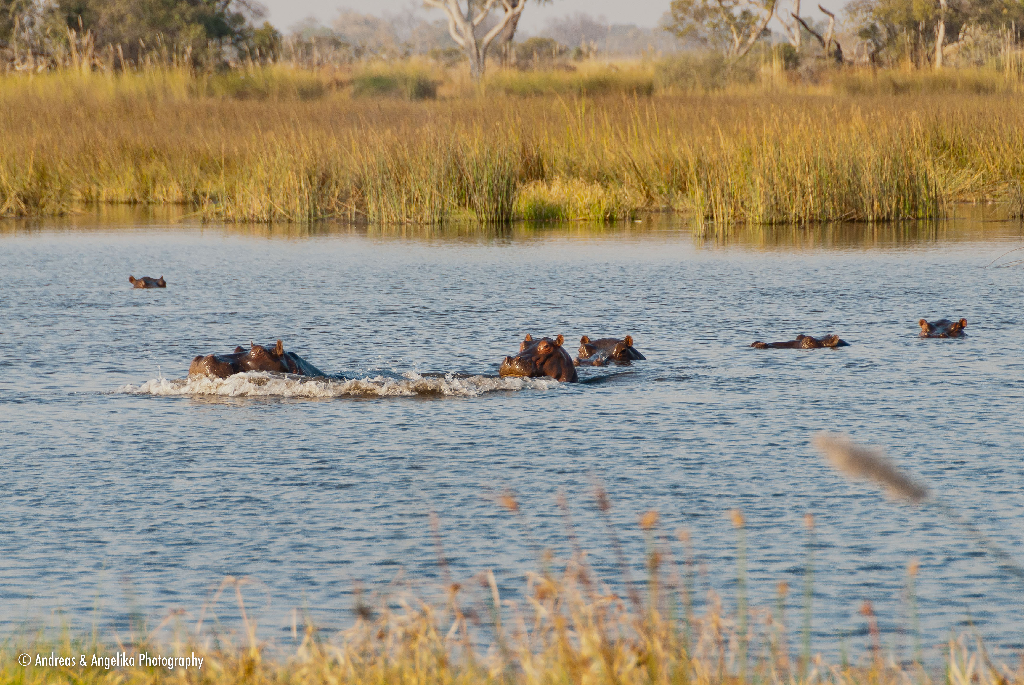 an-Namibia-Botswana-Zimbabwe-2012-08-18_DSC_5241.jpg