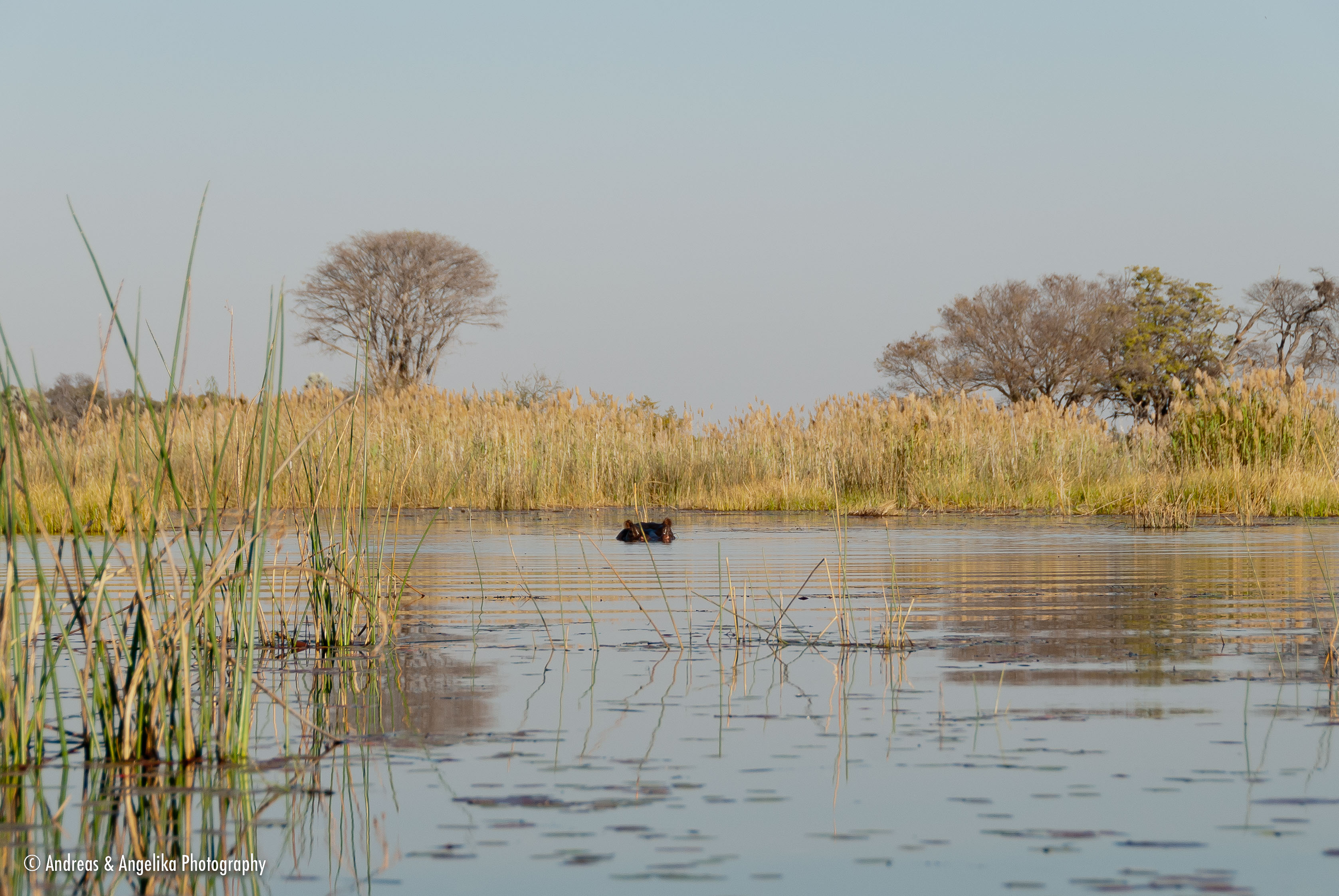an-Namibia-Botswana-Zimbabwe-2012-08-20_DSC_5644.jpg
