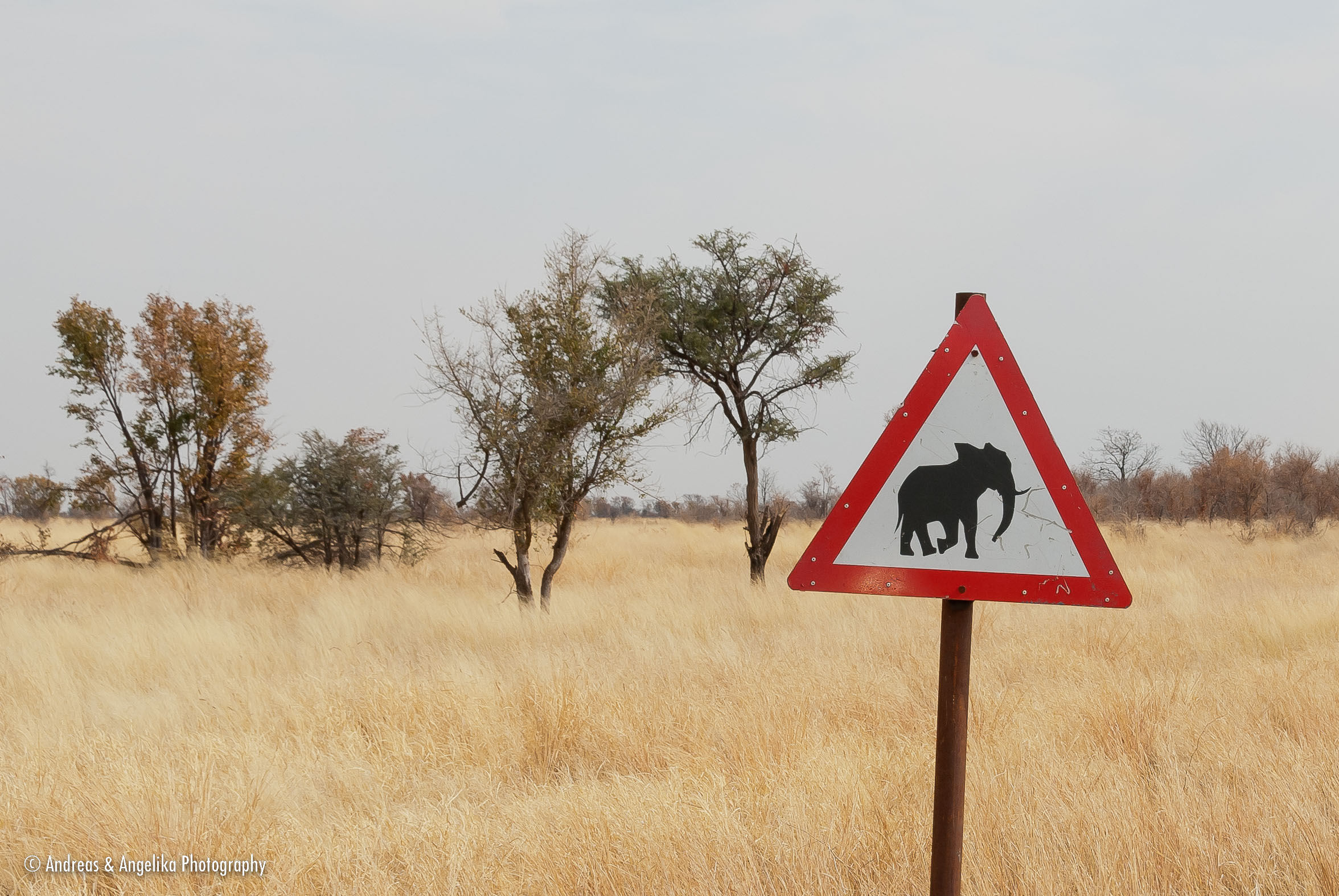 an-Namibia-Botswana-Zimbabwe-2012-08-22_DSC_6096.jpg