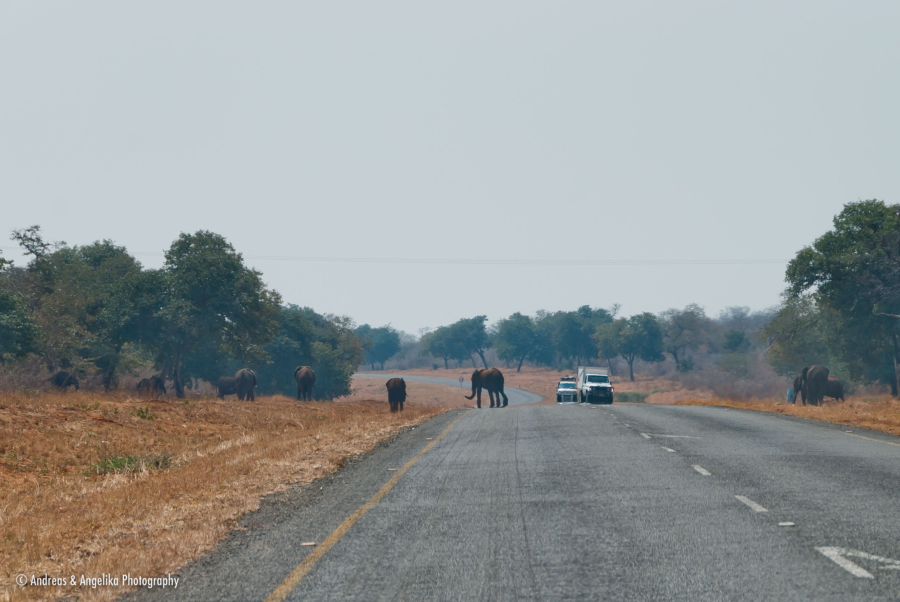 an-Namibia-Botswana-Zimbabwe-2012-08-22_DSC_6105.jpg