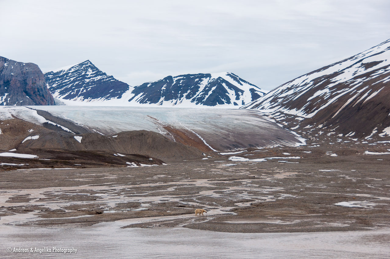 an-Spitzbergen-2013-07-04__DSC5948.jpg
