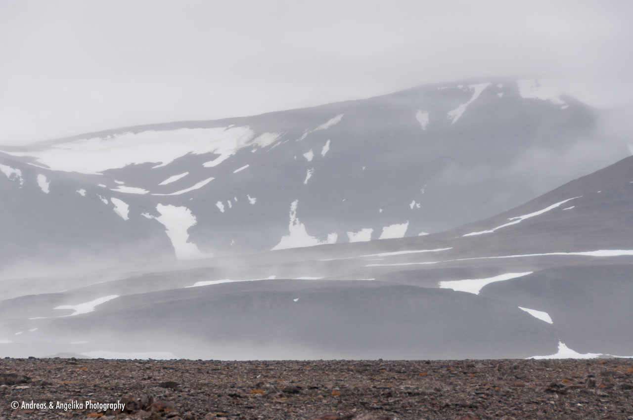 an-Spitzbergen-2013-07-05__DSC6782.jpg
