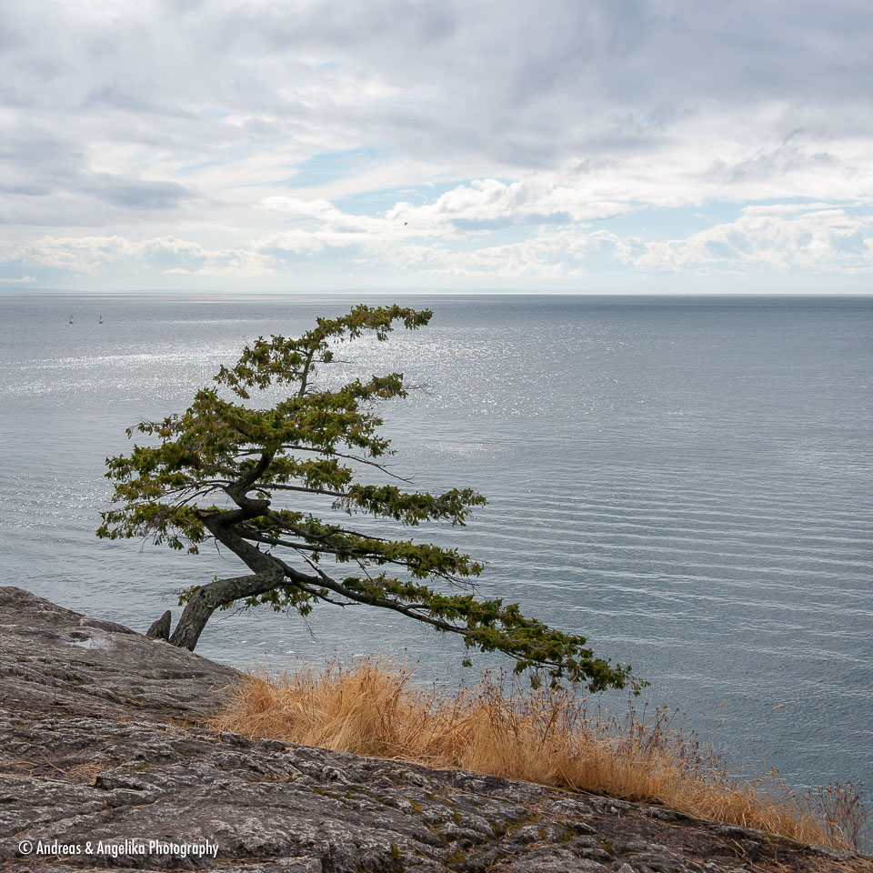 an-West-Kanada-2022-09-04__DSC9206.jpg