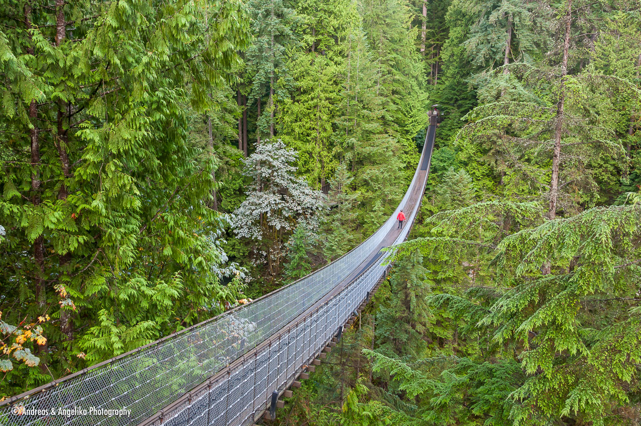 an-West-Kanada-2022-09-05__DSC9252.jpg