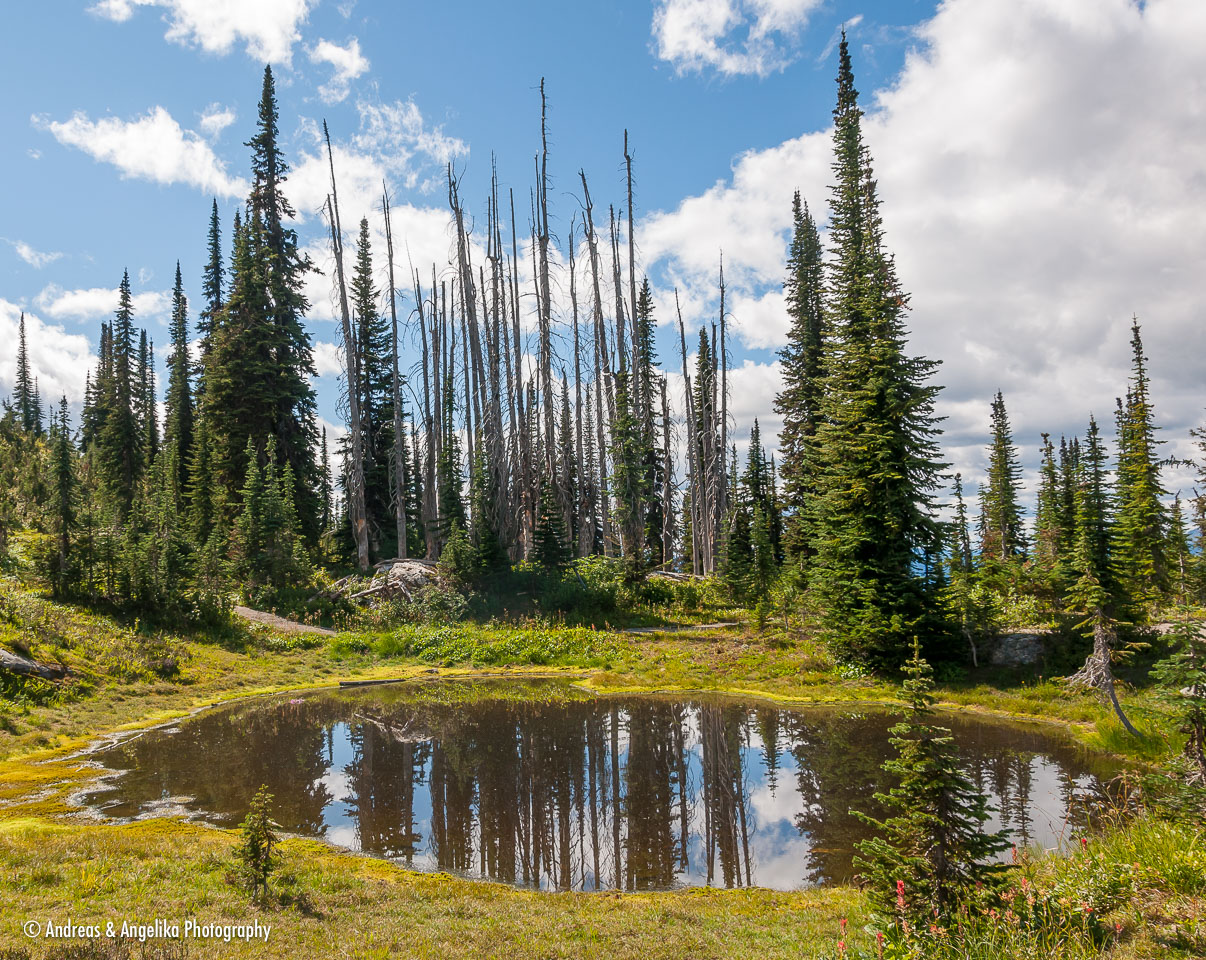 an-West-Kanada-2022-09-08__DSC9979.jpg