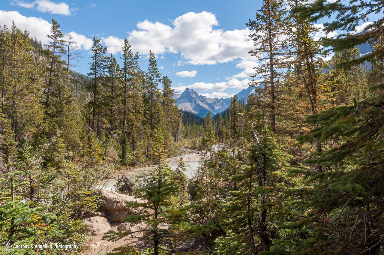 an-West-Kanada-2022-09-09__DSC0462.jpg