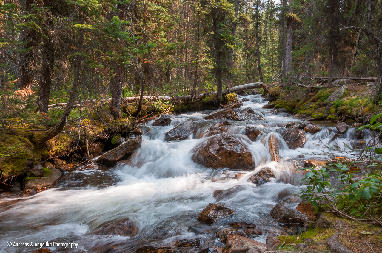 an-West-Kanada-2022-09-11__DSC0850-Verbessert-RR.jpg