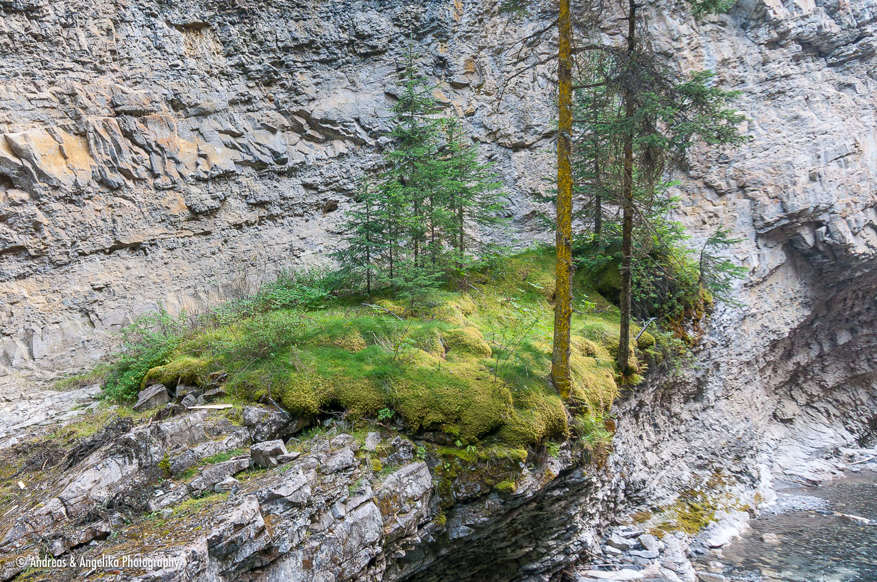 an-West-Kanada-2022-09-11__DSC0971-Verbessert-RR.jpg
