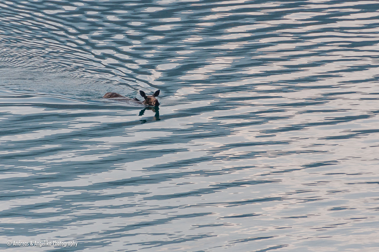an-West-Kanada-2022-09-14__DSC1632.jpg