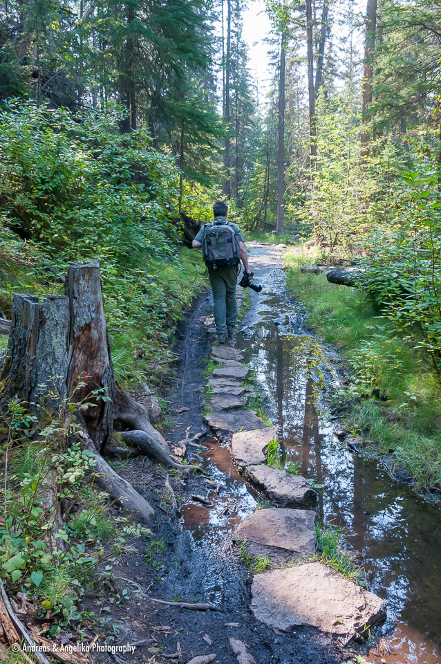 an-West-Kanada-2022-09-14__DSC1782.jpg