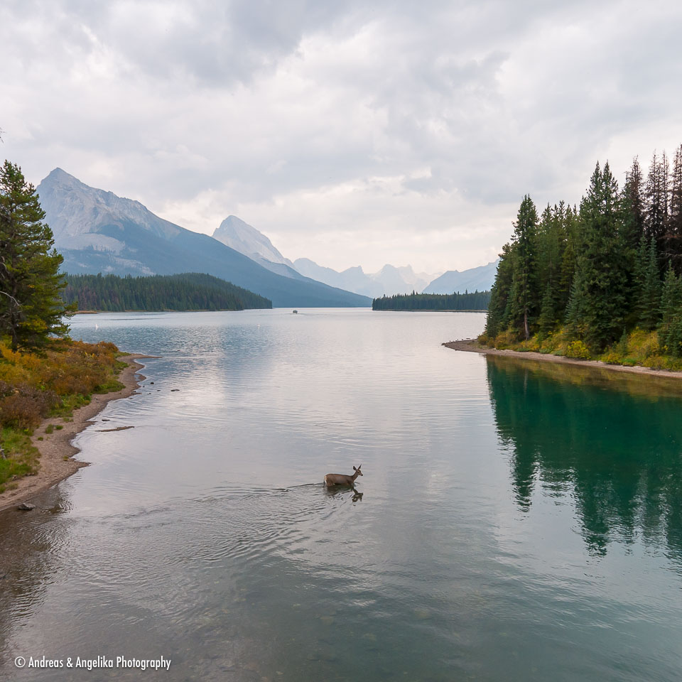 an-West-Kanada-2022-09-14__DSC1966.jpg