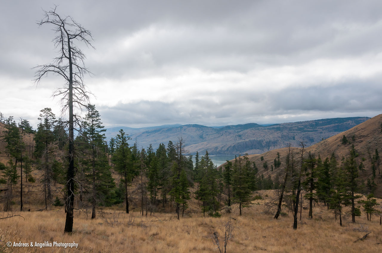 an-West-Kanada-2022-09-17__DSC2662.jpg