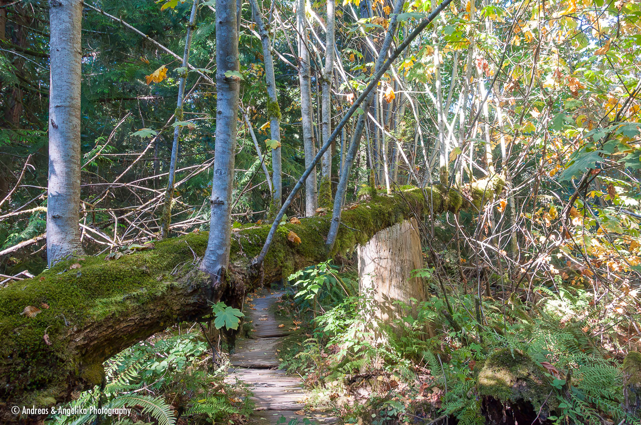 an-West-Kanada-2022-09-19__DSC3101-Verbessert-RR.jpg