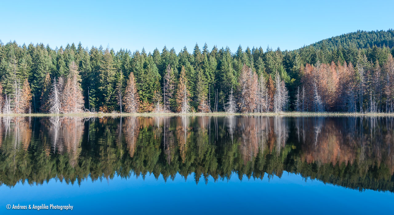 an-West-Kanada-2022-09-20__DSC3135.jpg