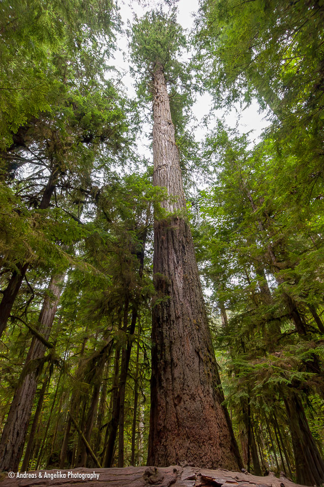 an-West-Kanada-2022-09-23__DSC3803-Verbessert-RR.jpg