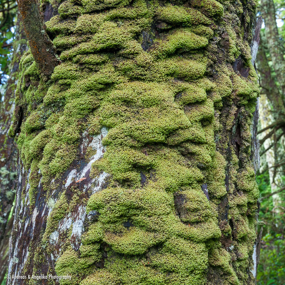 an-West-Kanada-2022-09-24__DSC4034-Verbessert-RR.jpg