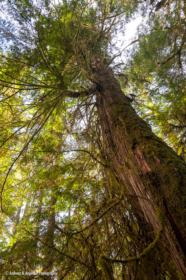 an-West-Kanada-2022-09-24__DSC4284-Verbessert-RR.jpg