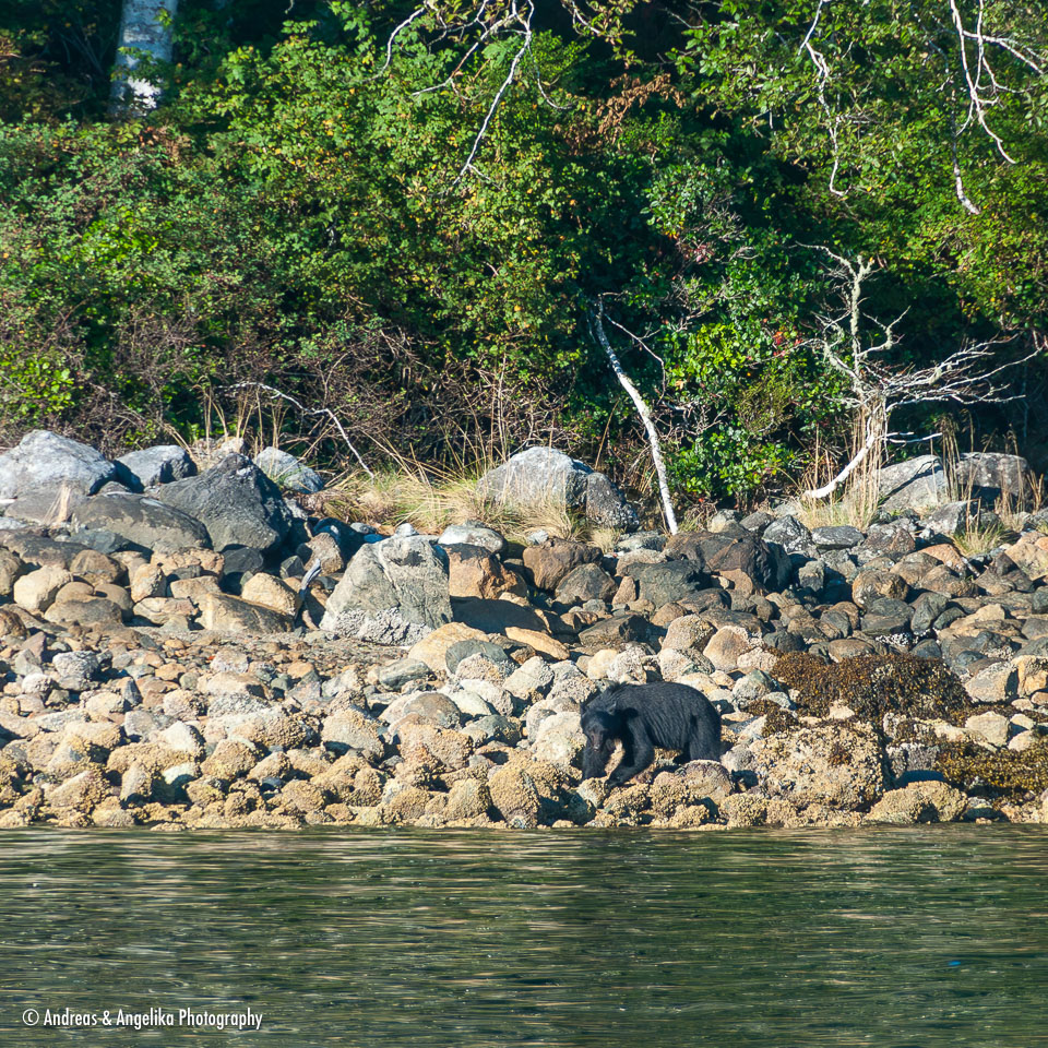 an-West-Kanada-2022-09-24__DSC4404-Verbessert-RR.jpg