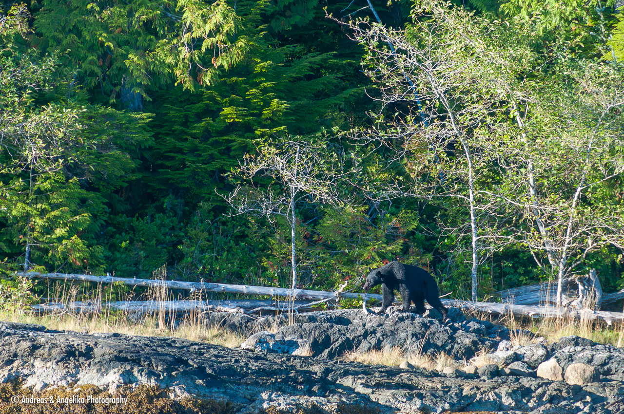 an-West-Kanada-2022-09-24__DSC4426-Verbessert-RR.jpg