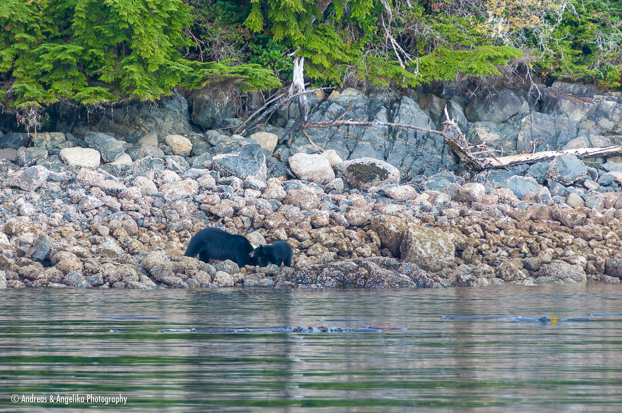 an-West-Kanada-2022-09-24__DSC4464-Verbessert-RR.jpg