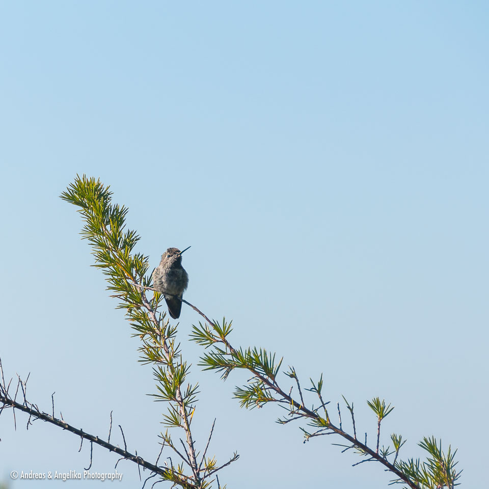 an-West-Kanada-2022-09-27__DSC5400.jpg