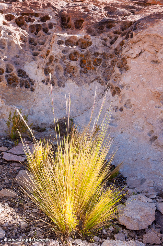 an-Uyuni-2023-01-12__DSC6270.jpg