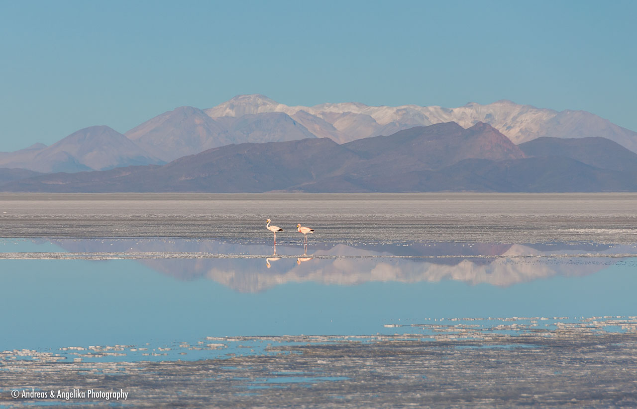 an-Uyuni-2023-01-14__DSC7496.jpg