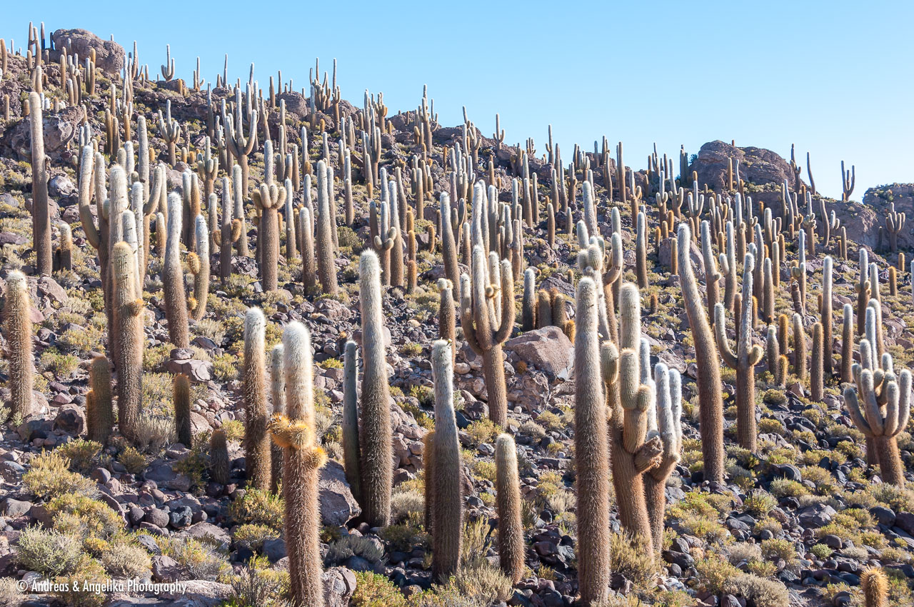 an-Uyuni-2023-01-14__DSC8238.jpg