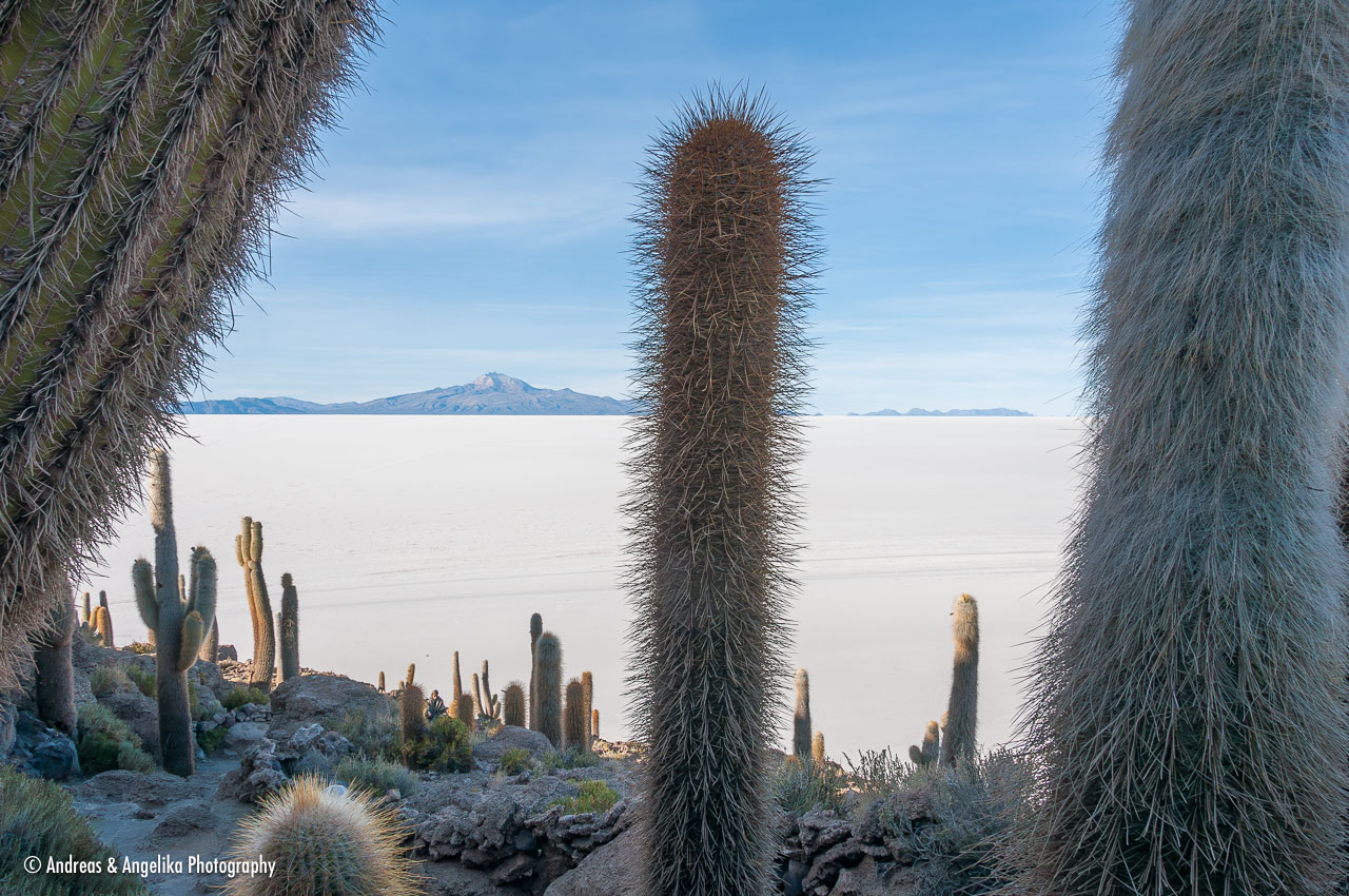 an-Uyuni-2023-01-14__DSC8309-Verbessert-RR.jpg