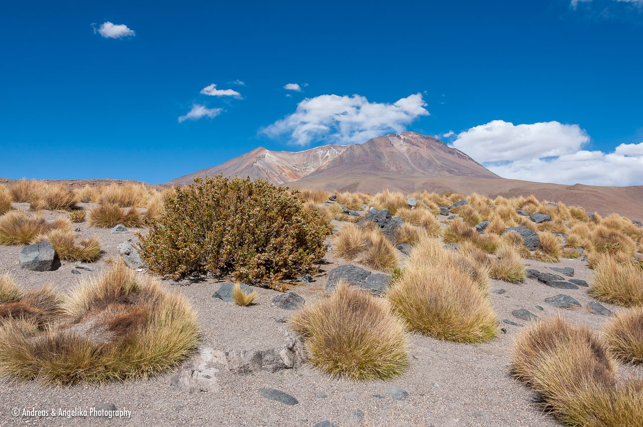 an-Uyuni-2023-01-15__DSC8760.jpg