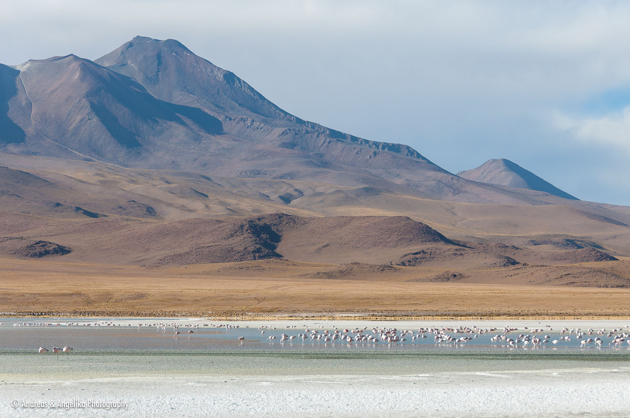 an-Uyuni-2023-01-15__DSC9204.jpg