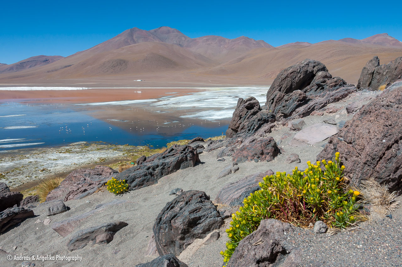 an-Uyuni-2023-01-16__DSC9557.jpg