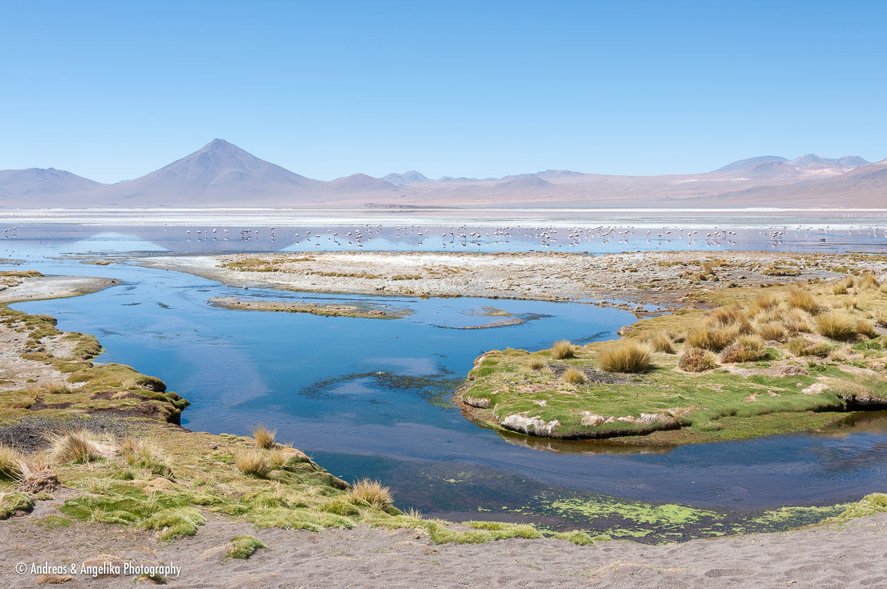 an-Uyuni-2023-01-16__DSC9684.jpg