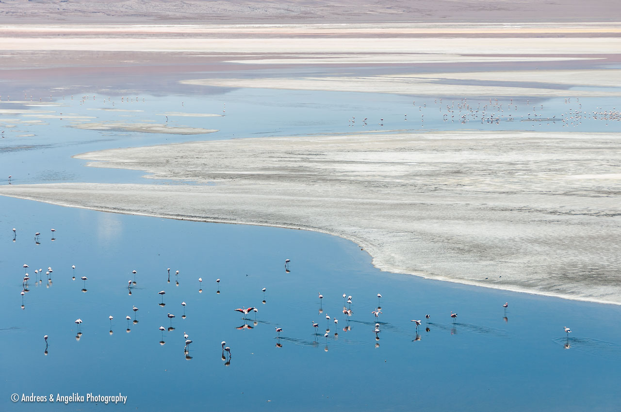 an-Uyuni-2023-01-16__DSC9807.jpg