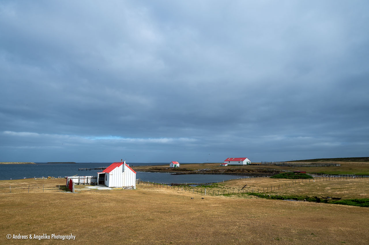 an-Falkland-2024-02-19__Z6X1593.jpg